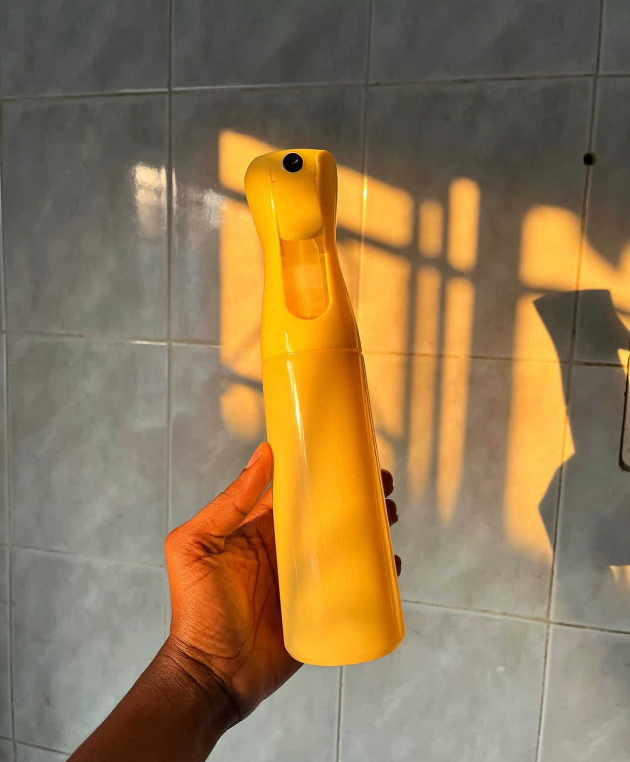 Mist Spray Bottle