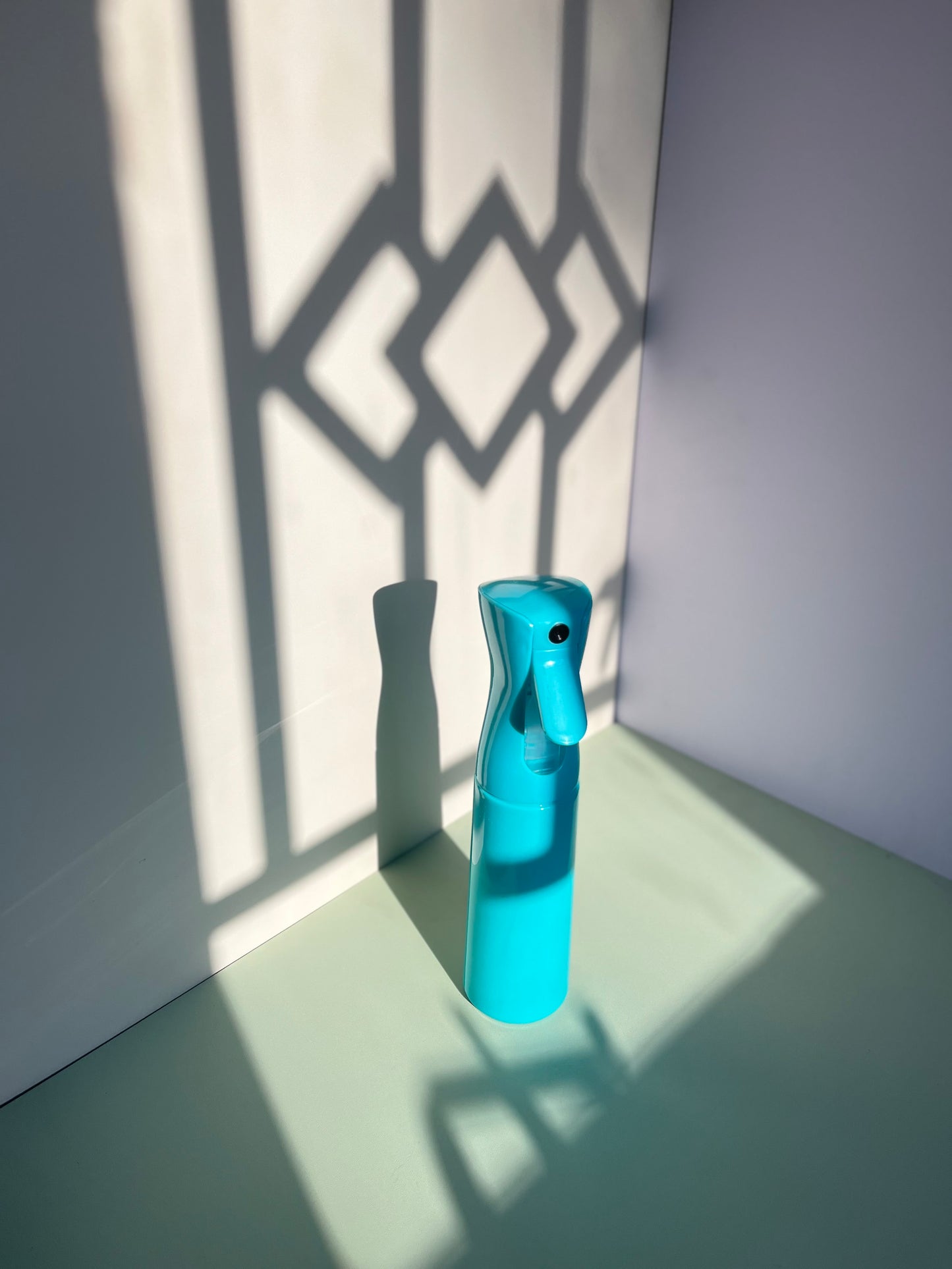 Mist Spray Bottle