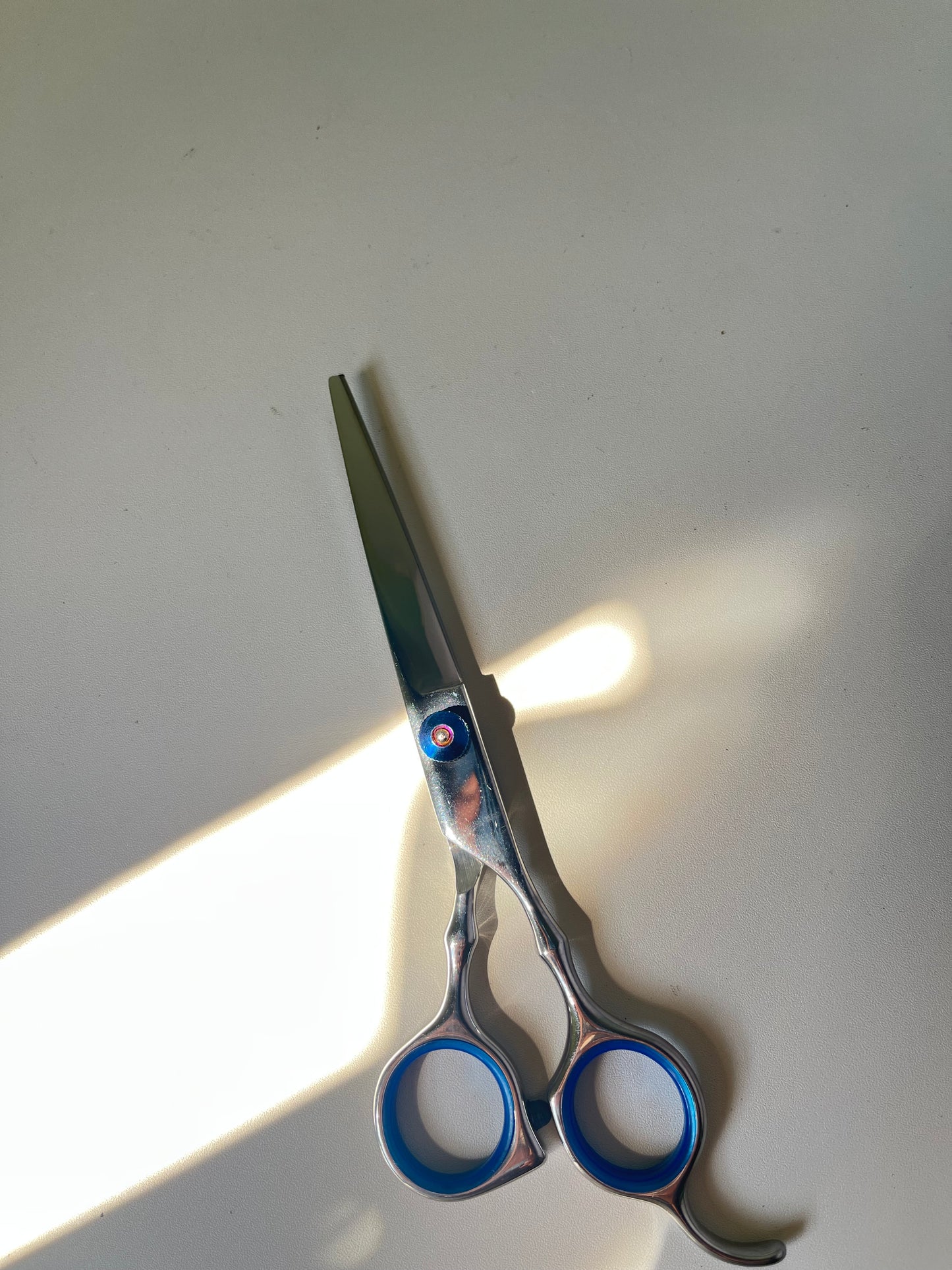 Trimming shears